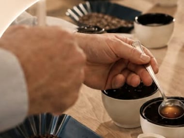 Δοκιμή καφέ (cupping) με κόκκους και κούπες στην εκπαίδευση της Coffee Berry